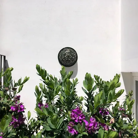 Antica Casa Del Pozzo מנדוריה